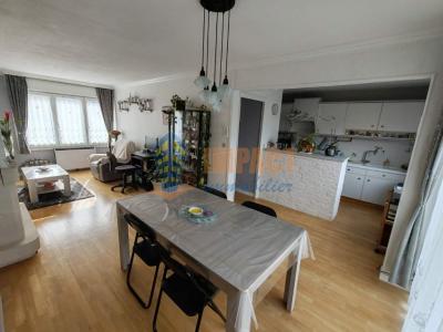 Acheter Maison 94 m2 Hallennes-lez-haubourdin