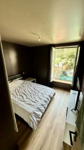 Louer Appartement Saint-etienne 780 euros