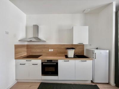 Louer Appartement 42 m2 Saint-etienne