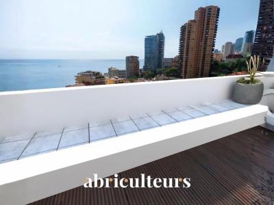 Acheter Appartement 50 m2 Roquebrune-cap-martin