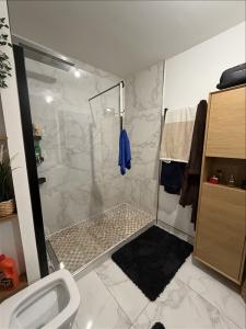 Louer Appartement Roissy-en-brie 1250 euros