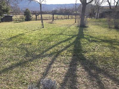 Life-annuity Tresques L'ESTANG NORD 6 rooms 150 m2 Gard (30330) photo 1