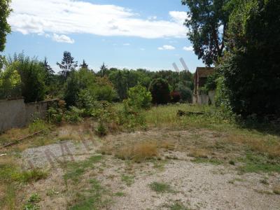 Acheter Prestige Saint-florentin Yonne