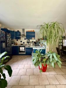 Acheter Maison Pelissanne 472500 euros
