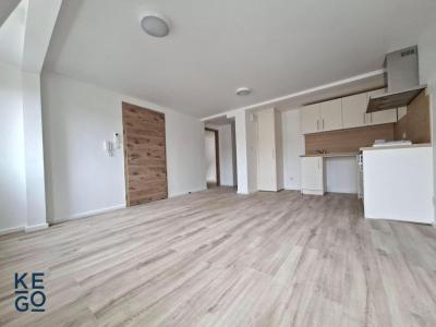 Louer Appartement 45 m2 Saverne