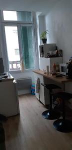 Louer Appartement Lyon-7eme-arrondissement 759 euros
