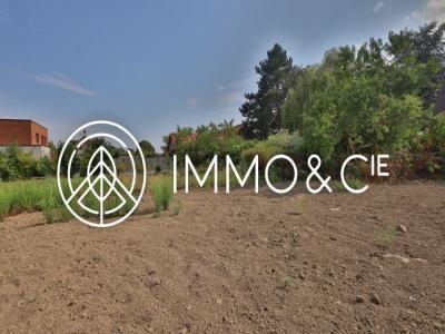 Annonce Vente Terrain Avelin 59
