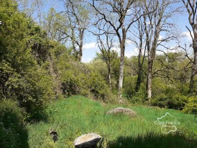 For sale Arrans 8 rooms 304 m2 Cote d'or (21500) photo 2