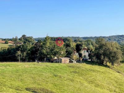 Annonce Vente 7 pi�ces Maison Armous-et-cau 32