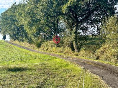 Acheter Maison Armous-et-cau 371000 euros