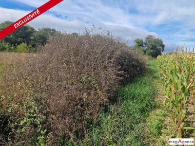 Acheter Terrain Monteneuf 45000 euros