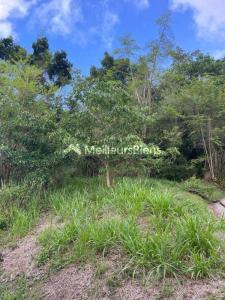 Annonce Vente Terrain Riviere-salee 972