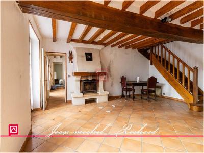 Acheter Maison Chatillon-sur-cher Loir et cher