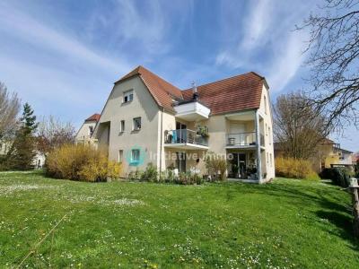 For rent Gambsheim 3 rooms 62 m2 Bas rhin (67760) photo 0
