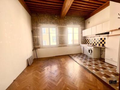 Acheter Appartement Lyon-1er-arrondissement Rhone