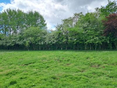 For sale Bassens 900 m2 Gironde (33530) photo 0
