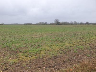 For sale Sadirac 500 m2 Gironde (33670) photo 0