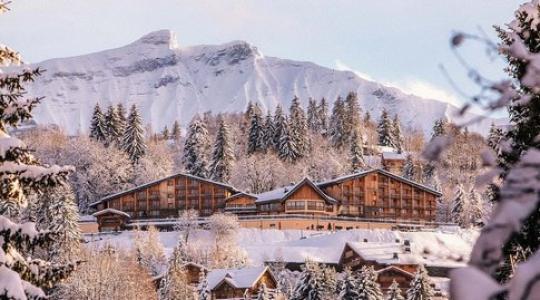 Acheter Appartement 32 m2 Megeve