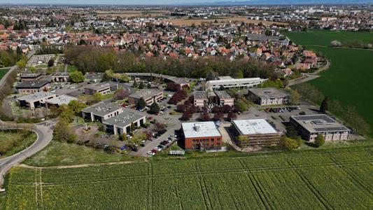 Annonce Vente Bureau Oberhausbergen 67