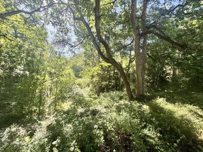 For sale 10 rooms 312 m2 Aisne (02130) photo 4