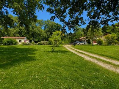 Annonce Vente 8 pi�ces Maison Vielle-soubiran 40