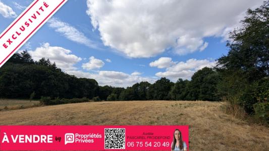 Annonce Vente Terrain Arnac-pompadour 19