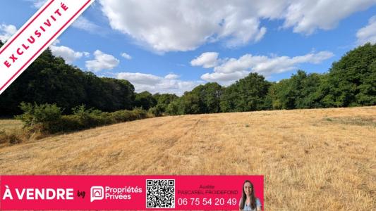Acheter Terrain Arnac-pompadour 56000 euros