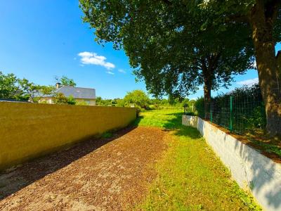 Annonce Vente Terrain Champigne 49