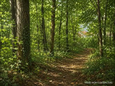 For sale Saint-just-en-chaussee 7431 m2 Oise (60130) photo 0