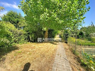 Annonce Vente 4 pi�ces Maison Linselles 59