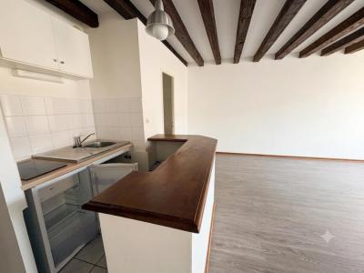 Acheter Appartement 44 m2 Villefranche-sur-saone