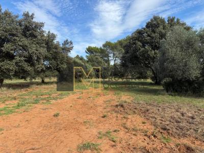 Annonce Vente Terrain Saint-siffret 30