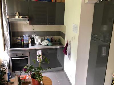 Annonce Location 2 pi�ces Appartement Castets-en-dorthe 33