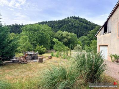 Annonce Vente 6 pi�ces Maison Celles-sur-plaine 88
