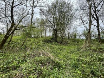 For sale Trigueres 5440 m2 Loiret (45220) photo 2