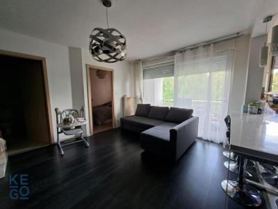 Louer Appartement 44 m2 Strasbourg