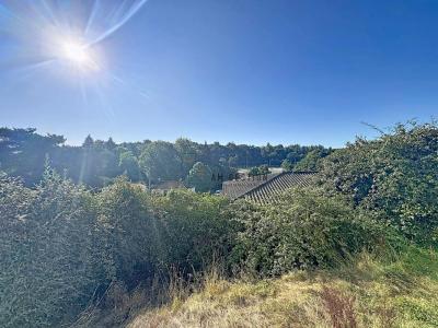 Acheter Maison Aixe-sur-vienne 139000 euros