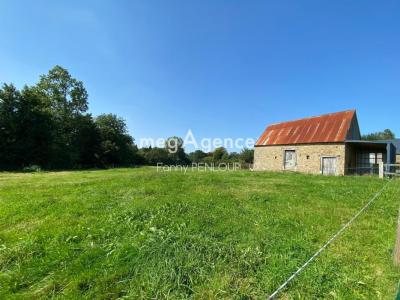 Annonce Vente Maison Rouffigny 50