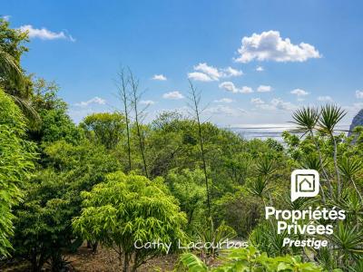For sale Deshaies 10 rooms 276 m2 Guadeloupe (97126) photo 3