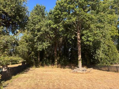 For sale Saint-gildas-de-rhuys 480 m2 Morbihan (56730) photo 0