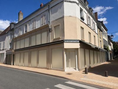 For sale Cosne-cours-sur-loire 7 rooms 310 m2 Nievre (58200) photo 0