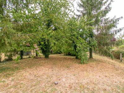 Acheter Maison Massay Cher