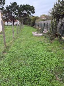 Acheter Terrain Saint-georges-d'oleron Charente maritime