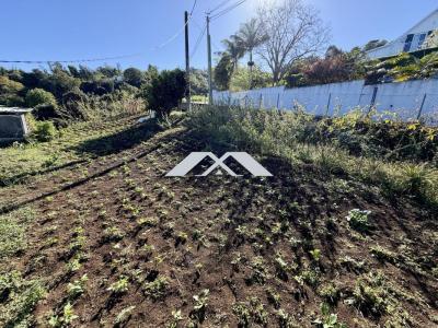 For sale Chaloupe 729 m2 Reunion (97416) photo 0