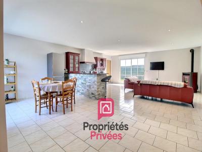 Acheter Maison Villemandeur Loiret