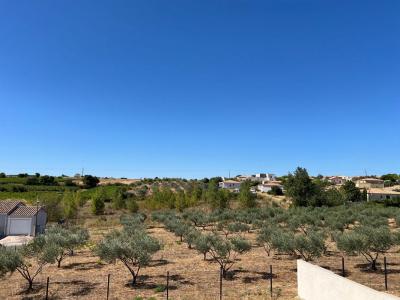 Acheter Maison Adissan Herault