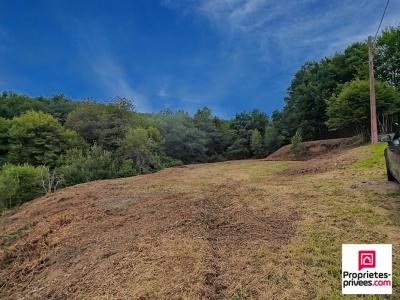 For sale Champagney 2312 m2 Haute saone (70290) photo 1