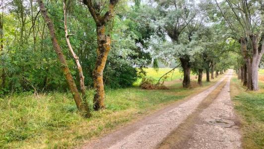 Acheter Terrain Puycasquier 298000 euros