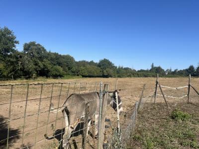 For sale Lanrivain 8 rooms 186 m2 Cotes d'armor (22480) photo 2