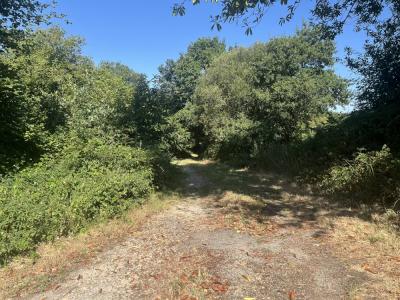 For sale Lanrivain 8 rooms 186 m2 Cotes d'armor (22480) photo 3